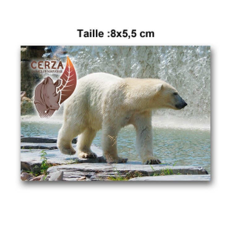Magnet Rectangulaire Ours Polaire Cerza Blanc Taille unique