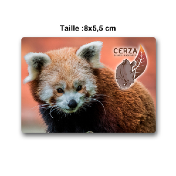 Magnet Rectangulaire Panda Roux Cerza Blanc Taille unique