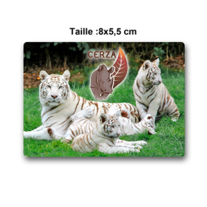 Magnet Rectangulaire Tigre Blanc Cerza Blanc Taille unique