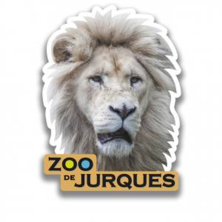 Magnet Tête de Lion Blanc Zoo de Jurques Blanc Taille unique