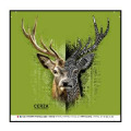 Masque en tissu Cerf Native Tribes Fond Vert Anis Cerza Blanc Taille unique