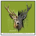 Masque en tissu Cerf Native Tribes Fond Vert Anis Chambord Blanc Taille unique