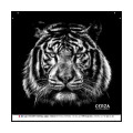 Masque en tissu Tigre Gamme Black Cerza Blanc Taille unique