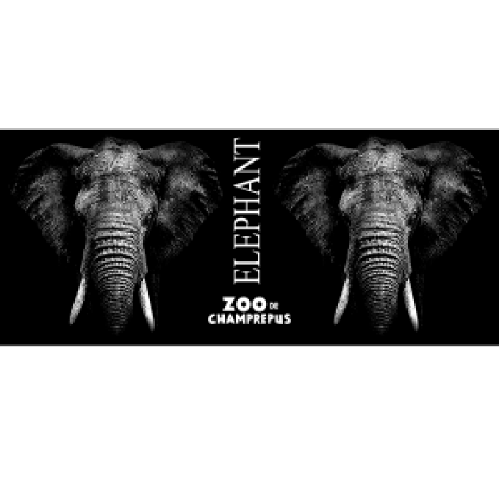 Mug bicolore Tête Déléphant Gamme Black Zoo de Champrepus noir Taille unique