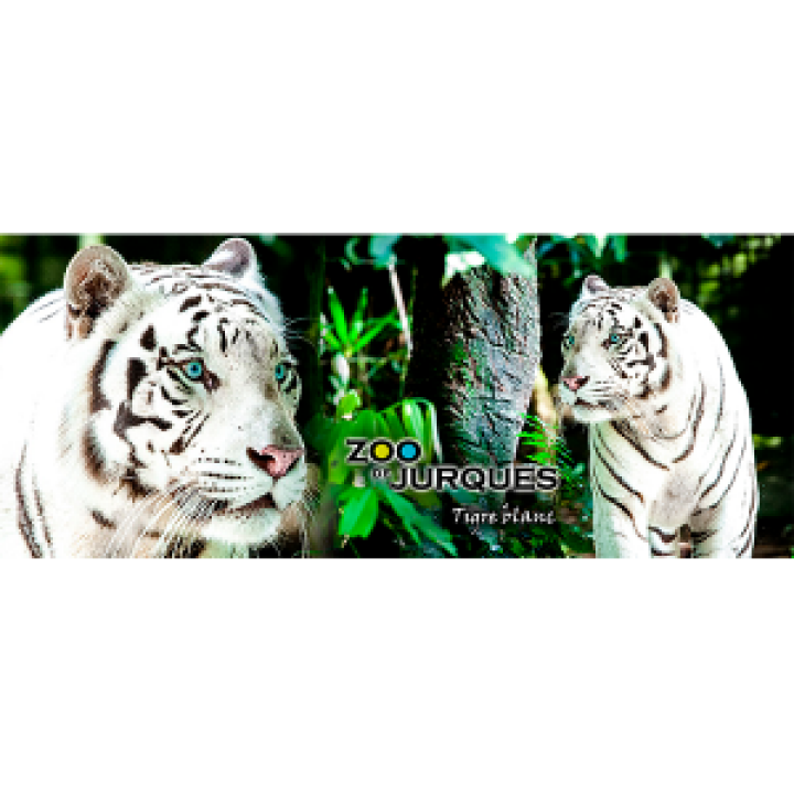 Mug bicolore Tigre Blanc Zoo de Jurques noir Taille unique