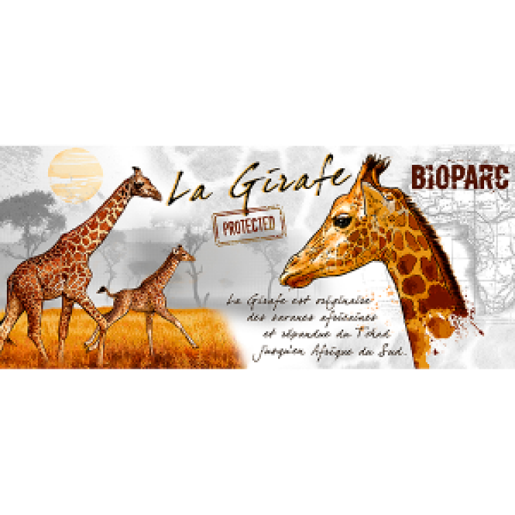 Mug blanc Girafe Bioparc Blanc Taille unique
