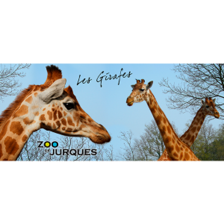 Mug blanc Girafe Zoo de Jurques Blanc Taille unique