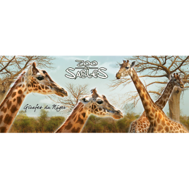 Mug blanc Girafe Zoo les Sables dOlonne Blanc Taille unique