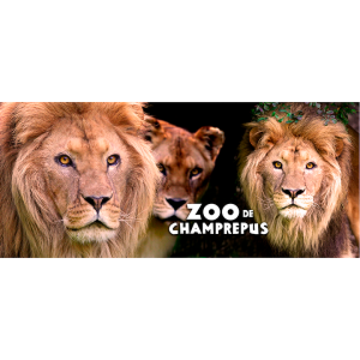 Mug blanc Lion Zoo de Champrepus Blanc Taille unique