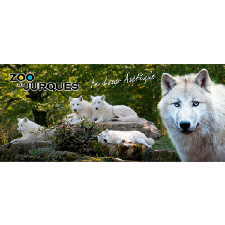 Mug blanc Loup Arctique Zoo de Jurques Blanc Taille unique