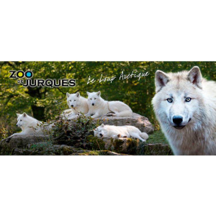 Mug blanc Loup Arctique Zoo de Jurques Blanc Taille unique