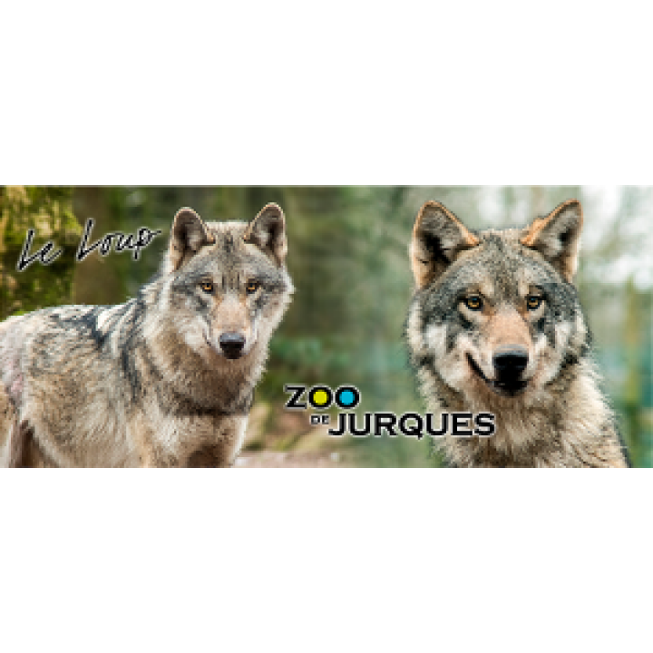 Mug blanc Loup Gris Zoo de Jurques Blanc Taille unique
