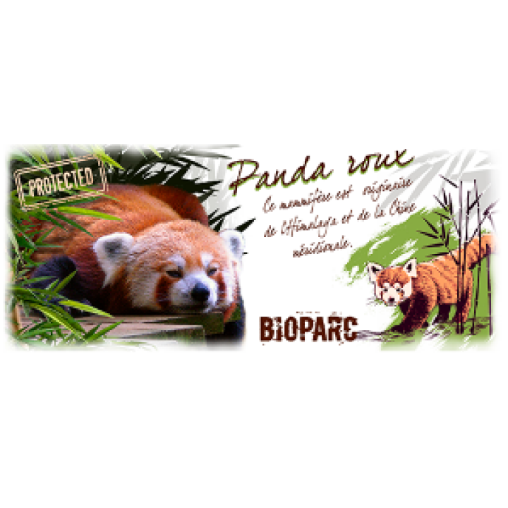 Mug blanc Panda Roux Bioparc Blanc Taille unique