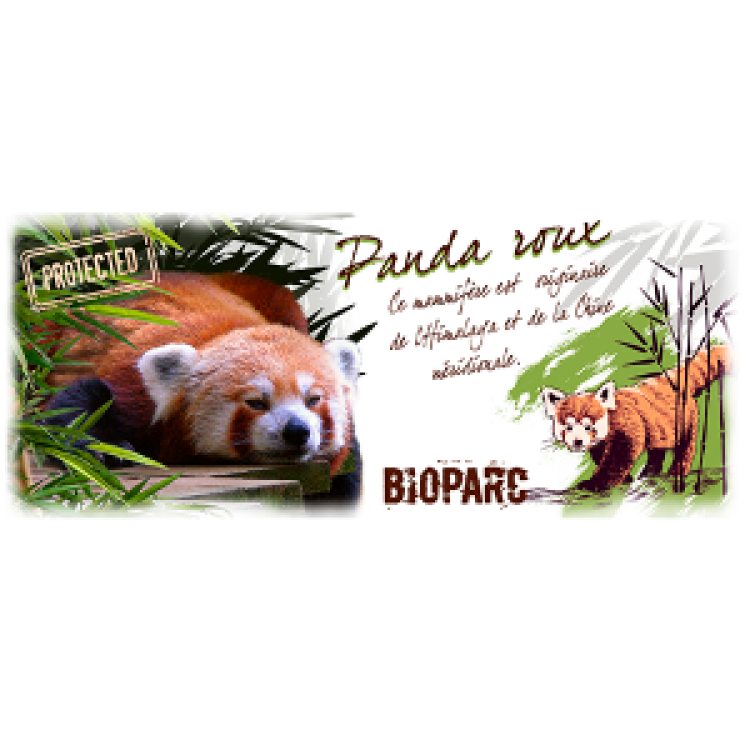 Mug blanc Panda Roux Bioparc Blanc Taille unique