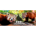 Mug blanc Panda Roux Zoo de Champrepus Blanc Taille unique