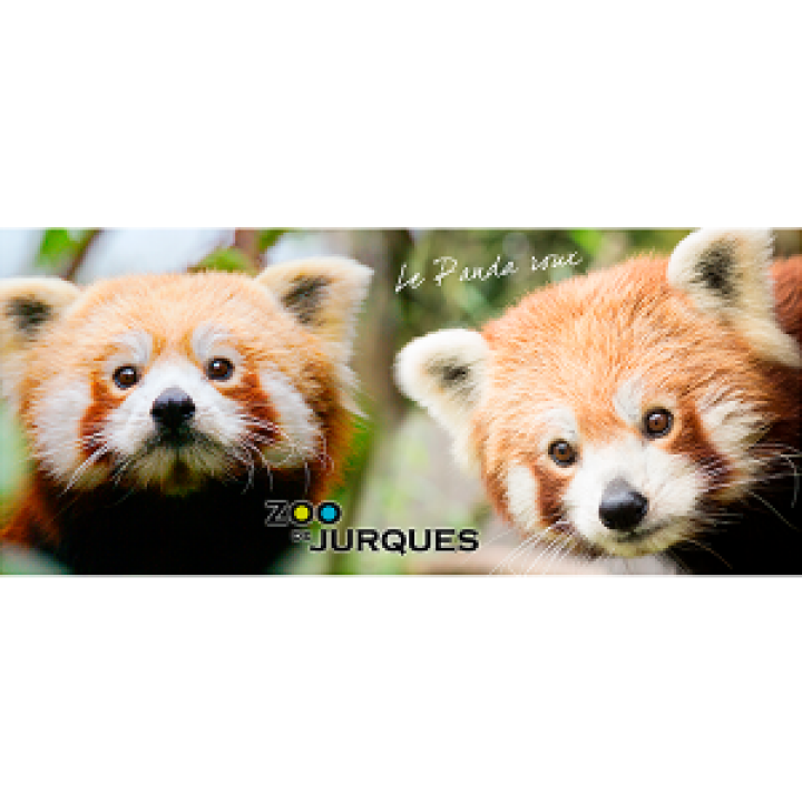Mug blanc Panda Roux Zoo de Jurques Blanc Taille unique
