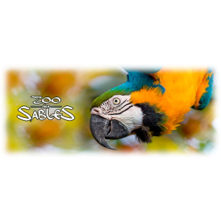 Mug blanc Perroquets Zoo les Sables dOlonne Blanc Taille unique