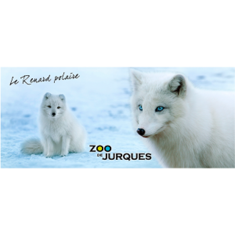 Mug blanc Renard Polaire Zoo de Jurques Blanc Taille unique