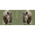 Mug blanc Rhino Natives Tribes Khaki Beige Cerza Blanc Taille unique