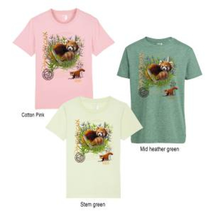 Tshirt enfant bio ajusté Panda Roux Cerza  transfert Col Cerza Cotton pink 56 ans