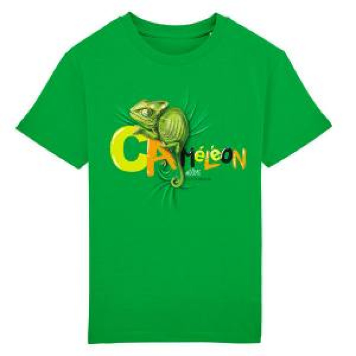 Tshirt enfant bio Caméléon Beauval Largeur 18 Cm pour les 34 56 Ans Largeur 20 Cm pour les 78 Ans Fresh Green 34 ans