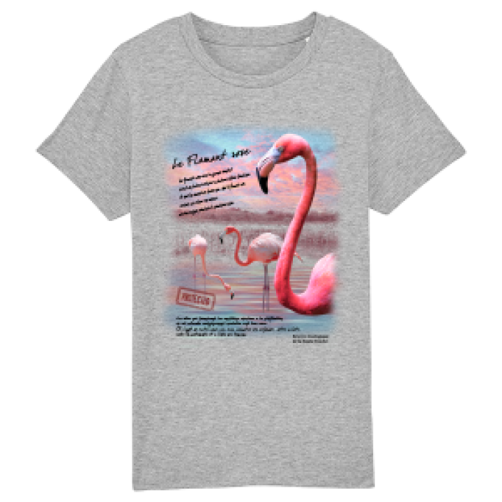 Tshirt enfant bio Flamant Rose Réserve de la Haute Touche Heather Grey 78 ans