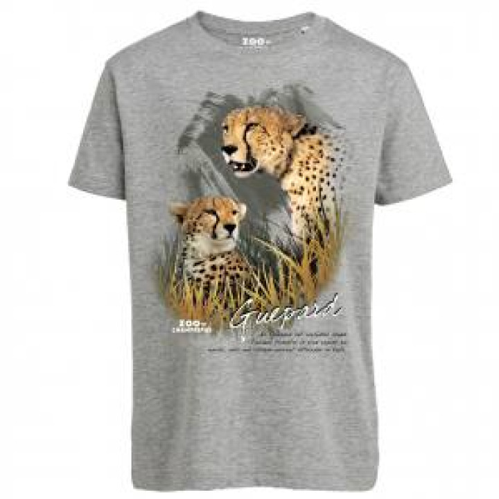Tshirt enfant bio Guépard Zoo de Champrepus Heather Grey 911 ans