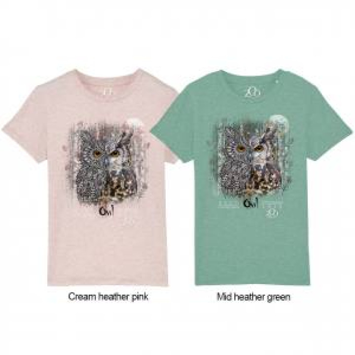 Tshirt enfant bio Hibou Tribes  transfert Col Zoo dAmiens Mid Heather Green 34 ans