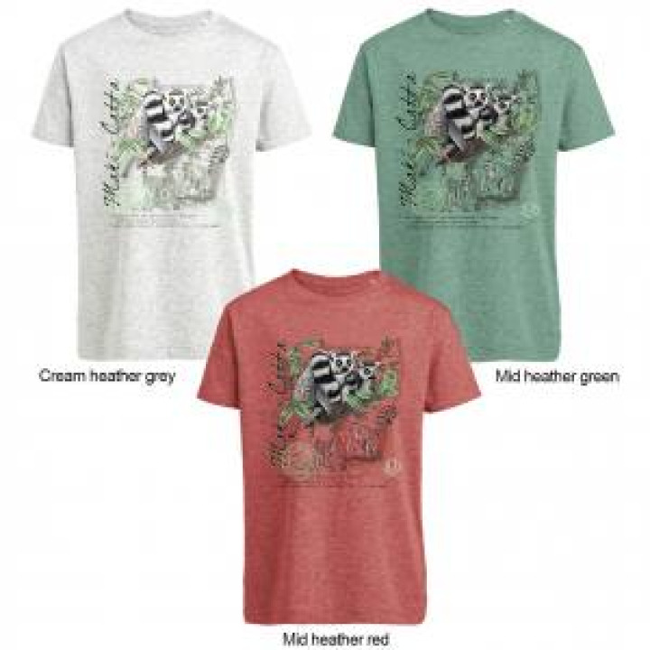 Tshirt enfant bio Maki Catta  transfert Col Zoo dAmiens Cream Heather Grey 34 ans