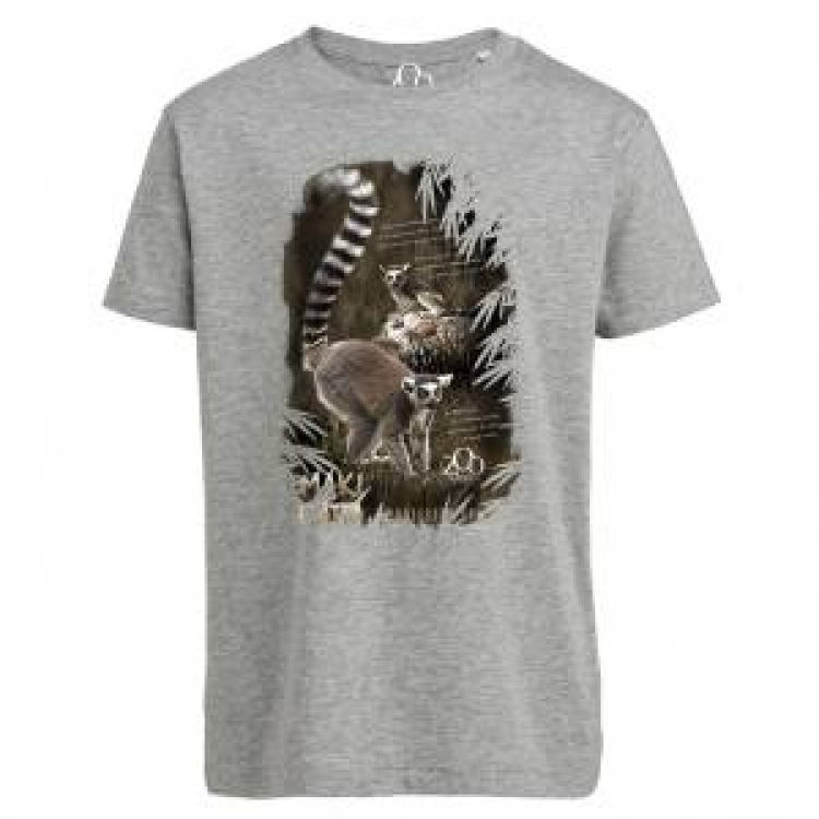 T-shirt enfant bio Maki Catta + transfert Col Zoo d’Amiens Cream Heather Grey 3/4 ans
