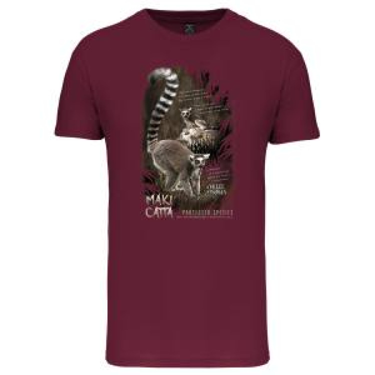 T-shirt enfant bio Maki Catta Vallée des Singes Oxford Grey 2/4 ans