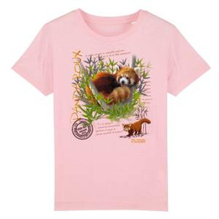 Tshirt enfant bio Panda Roux Parc Animalier dAuvergne  transfert Col Parc Animalier dAuvergne Stem Green 34 ans