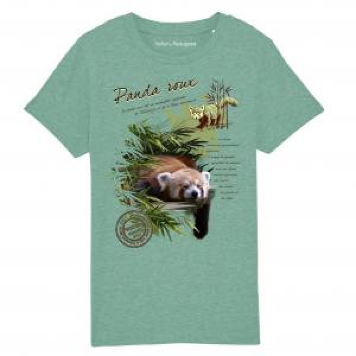 Tshirt enfant bio Panda Roux  transfert Col Safari de Peaugres Mid Heather Green 34 ans