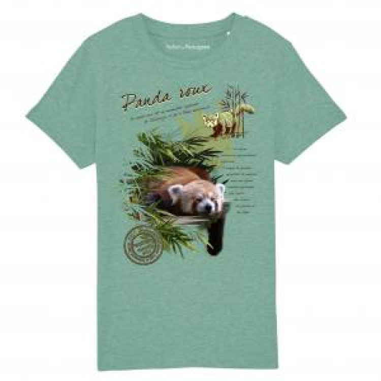 T-shirt enfant bio Panda Roux + transfert Col Safari de Peaugres Mid Heather Green 3/4 ans