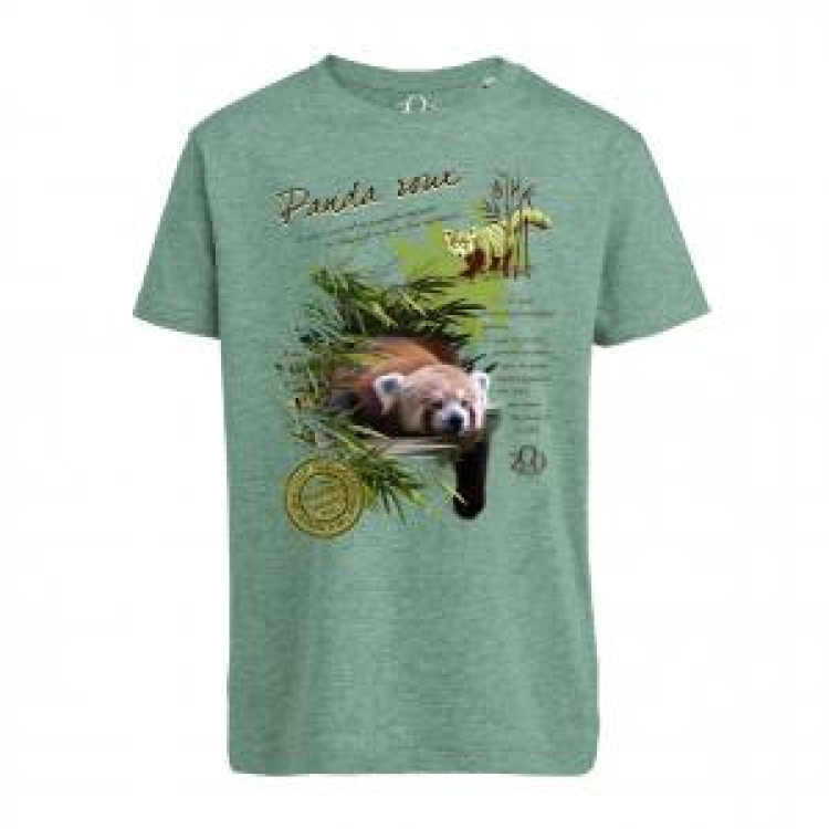 T-shirt enfant bio Panda Roux + transfert Col Zoo d’Amiens Mid Heather Green 3/4 ans