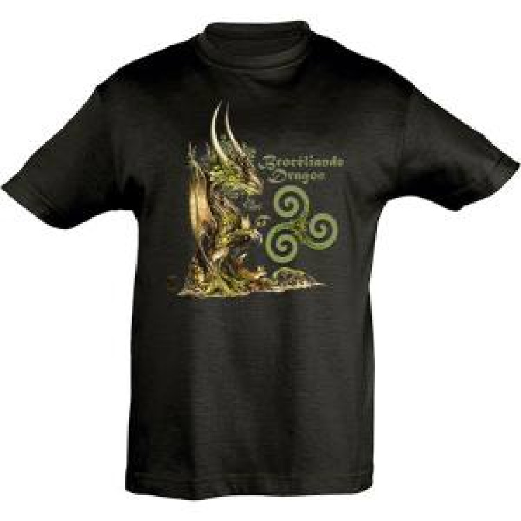 T-shirt enfant Broc&eacute;liande Dragon + Triskell Noir Profond 4 ans