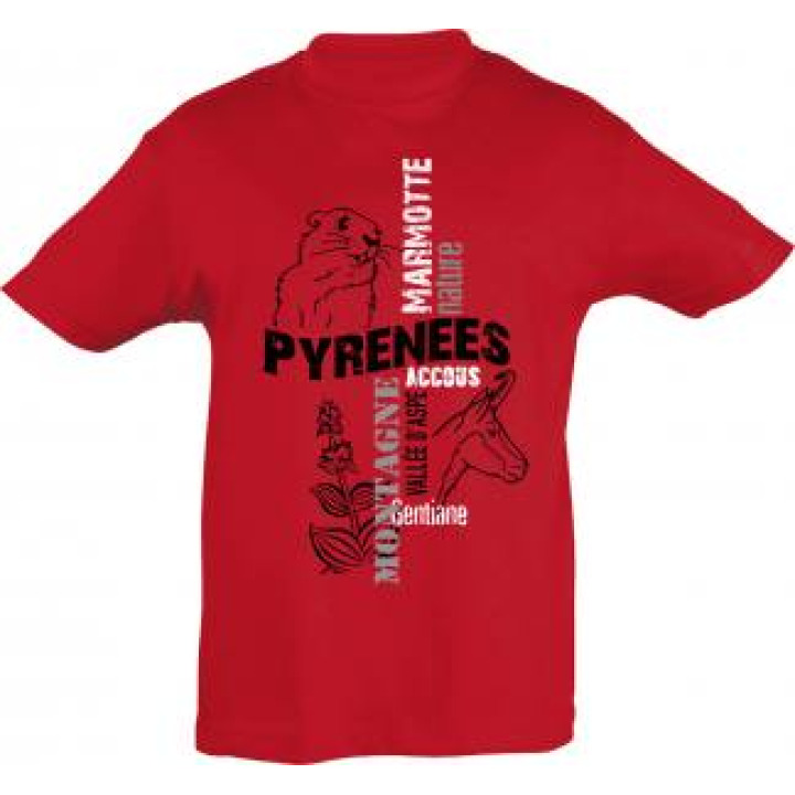 Tshirt enfant Chamois et Marmotte Accous Vallée Daspe Vert Pomme 8 ans