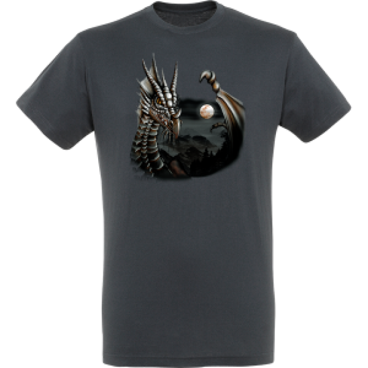 Tshirt enfant Dragon de Face Denim 4 ans