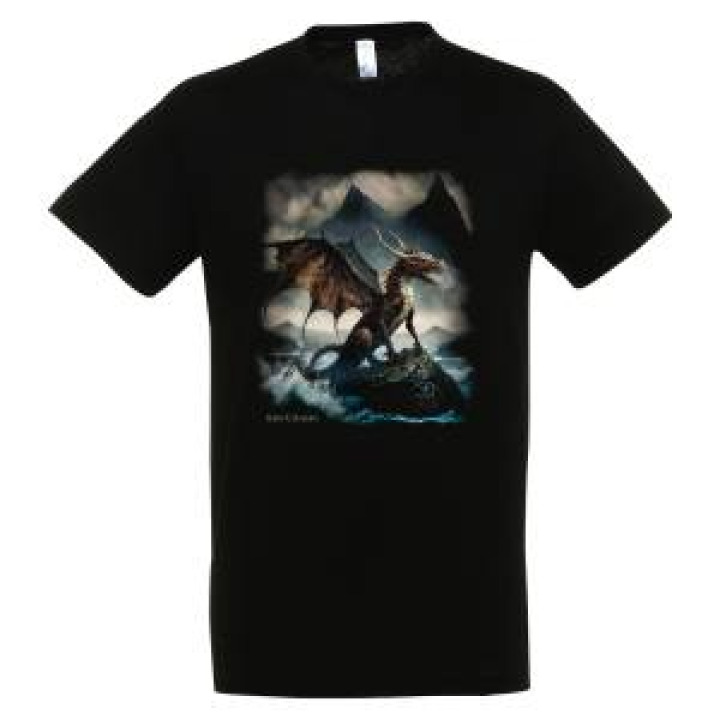 Tshirt enfant Dragon Montagne Bretagne Noir Profond 2 ans