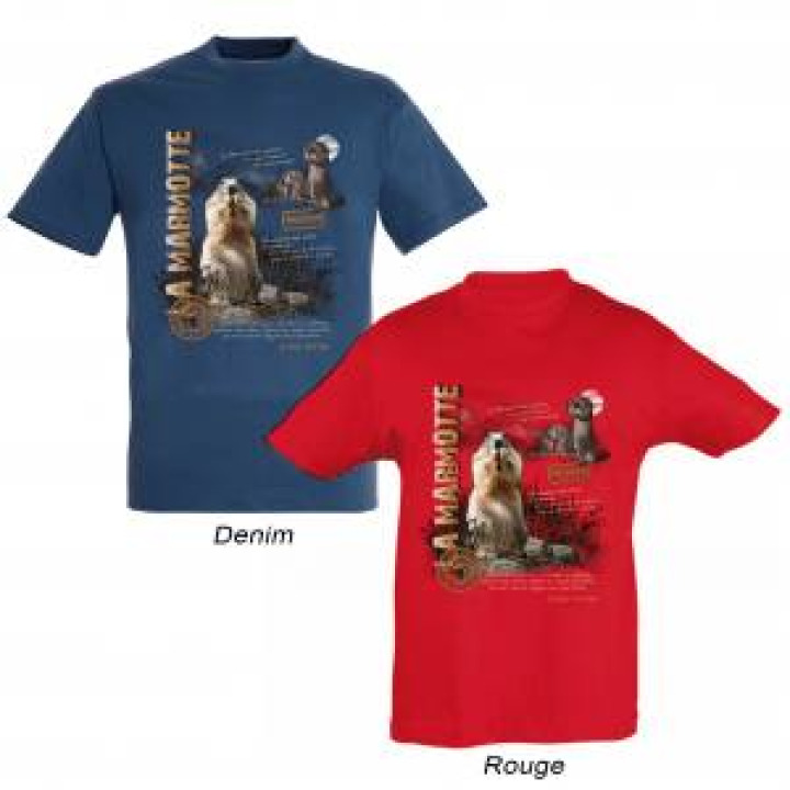 Tshirt enfant Marmottes la Mongie Pic du Midi Denim 4 ans