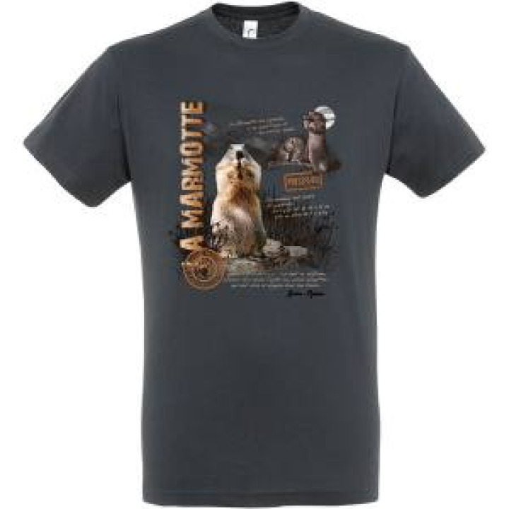 Tshirt enfant Marmottes Laruns Gris Souris 2 ans