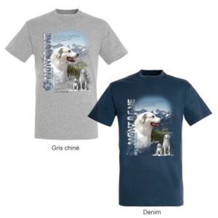Tshirt enfant Patou Accous Vallée Daspe Gris Chiné 8 ans