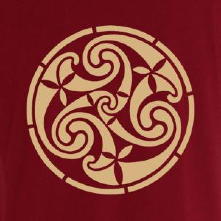 T-shirt homme Celtic Art Chili S