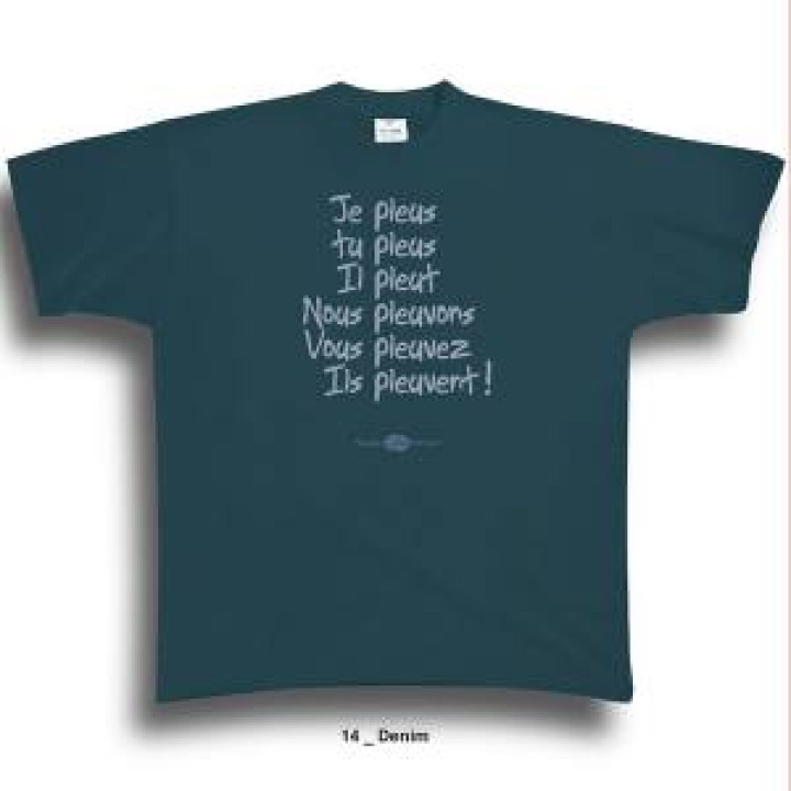 Tshirt homme Je Pleus Tu Pleus Denim S