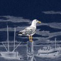 T-shirt homme Port + Broderie Mouette Marquage Erquy Marine S