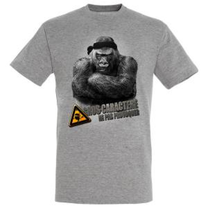 Tshirt unisexe Gros Caractère Gris Chiné S