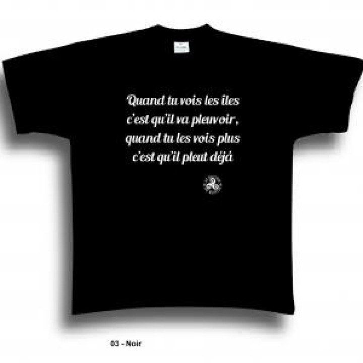 Tshirt unisexe Les Iles Il Pleut Hm1004 Noir Profond M