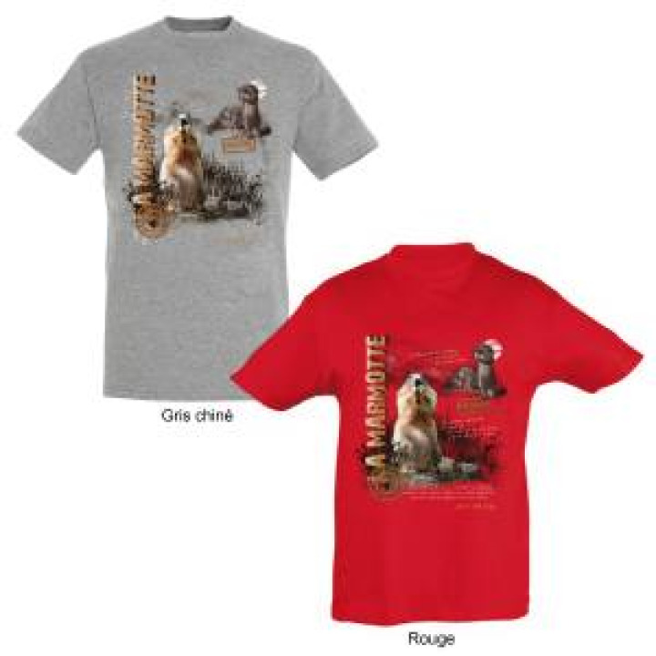 Tshirt unisexe Marmottes Accous Vallée Daspe Gris Chiné S