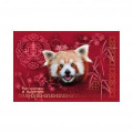 Trousse plate all-over Panda Roux Intemporel (Rouge Orange) Parc Animalier d’Auvergne Blanc Taille u